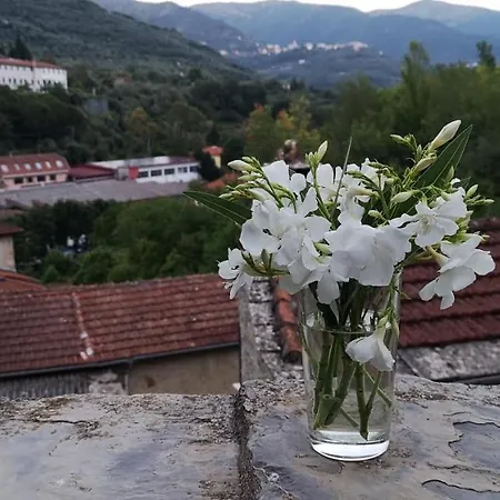 Tipica Casa Oasi Rustico Ligure *